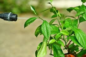 Fungicides